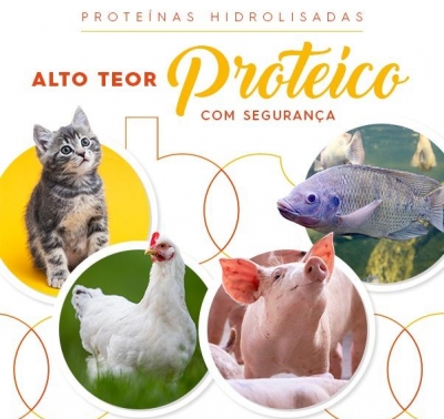 Proteínas hidrolisadas