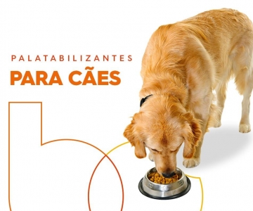 Palatabilizantes para Cães