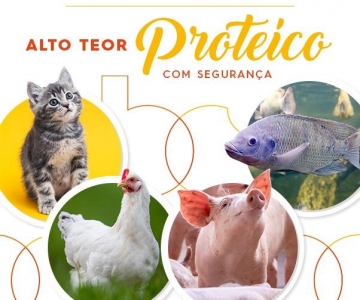 Proteínas hidrolisadas